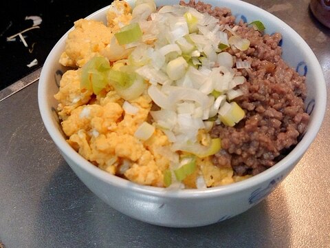 豚ひき肉と卵の2色そぼろ丼